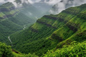 Panoramic view of Igatpuri's green hills during the monsoon with mist covering the peaks