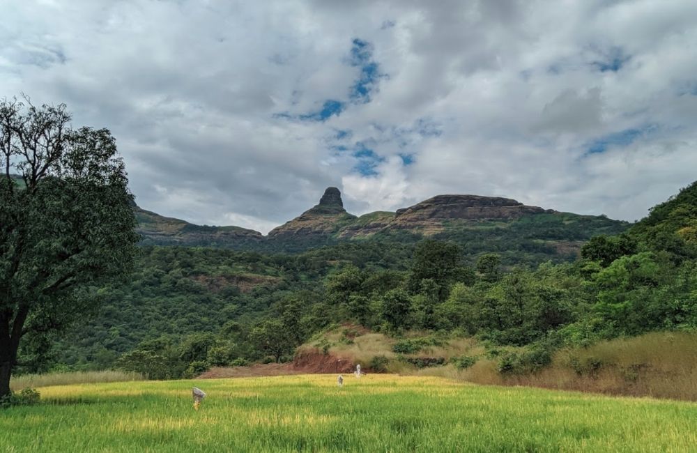 ratngad mountain