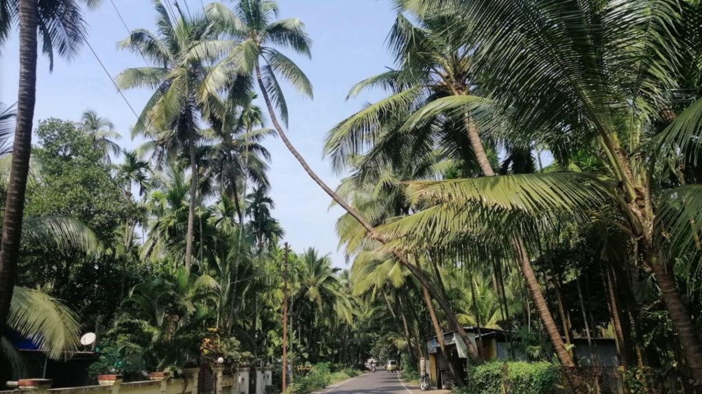 Top 5 Weekend Getaways Near Mumbai 2 Top 5 Weekend Getaways Near Mumbai Alibaug