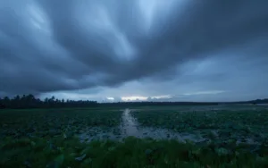 igatpuri rain