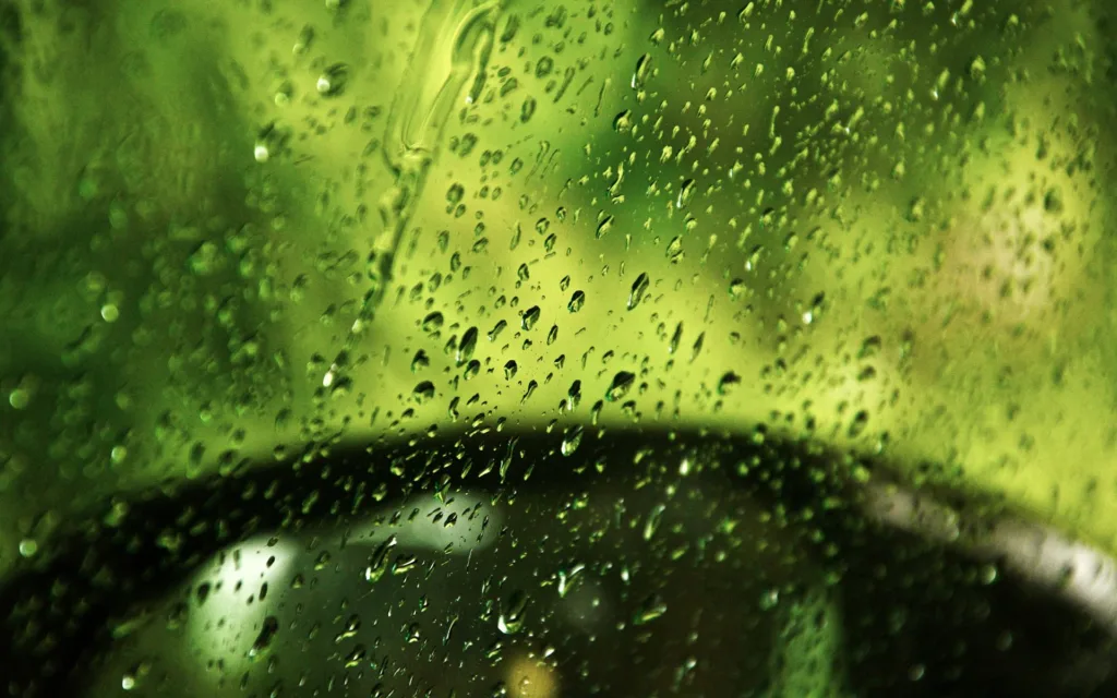 Igatpuri Rain - Captivating Igatpuri'S Rainy Charms 2 Igatpuri Rain - Captivating Igatpuri'S Rainy Charms Unveiling The Monsoons Palett