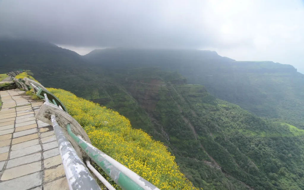 Igatpuri Vs. Malshej Ghat: Which Is The Ultimate Getaway? 6 Malshej Ghat Bird Watching
