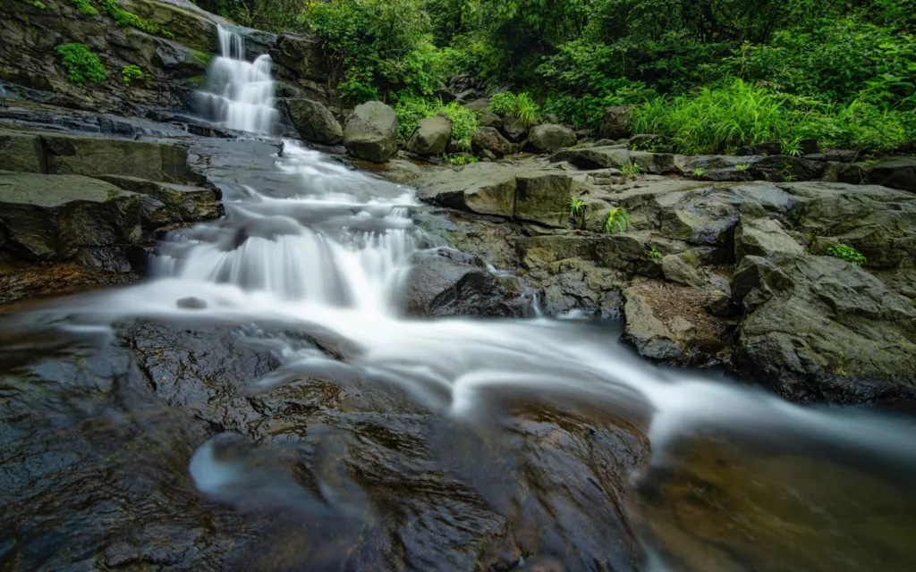 Igatpuri Vs. Malshej Ghat: Which Is The Ultimate Getaway? 7 Malshej Ghat Waterfalls