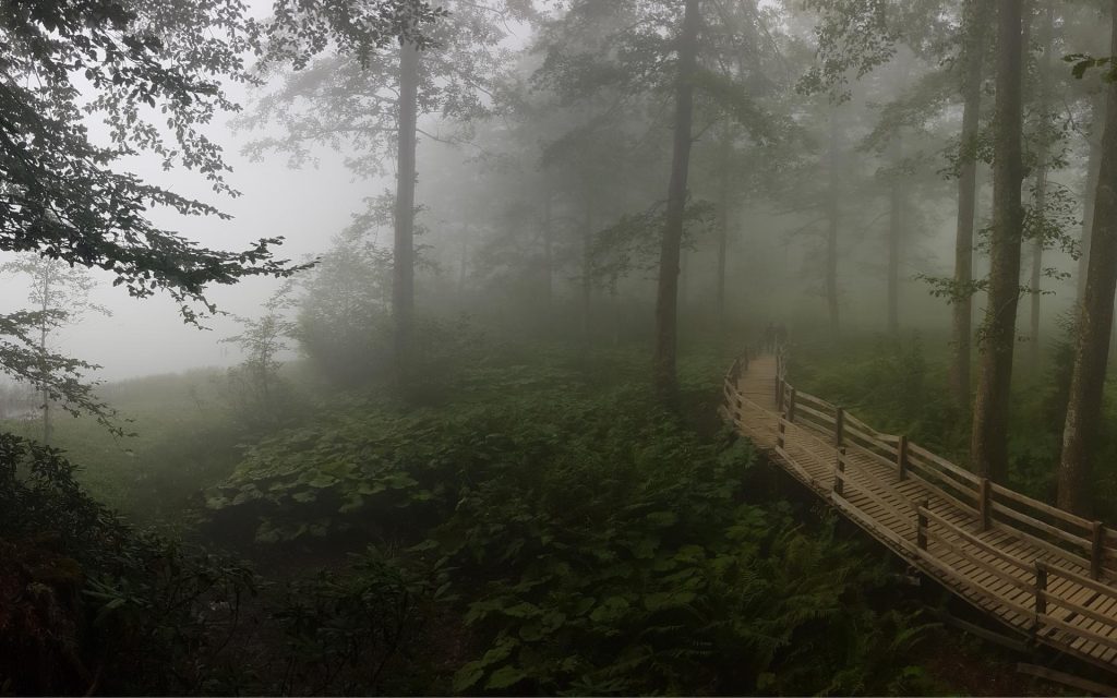 Igatpuris Winter Magic