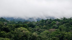igatpuri winter holi