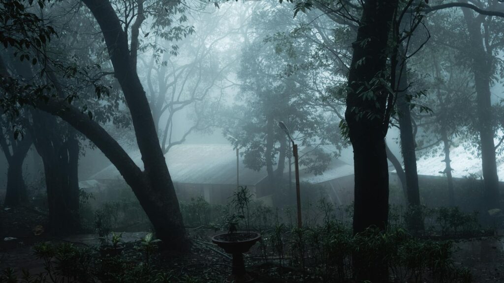 Iconic Matheran Toy Train passing through lush green forests