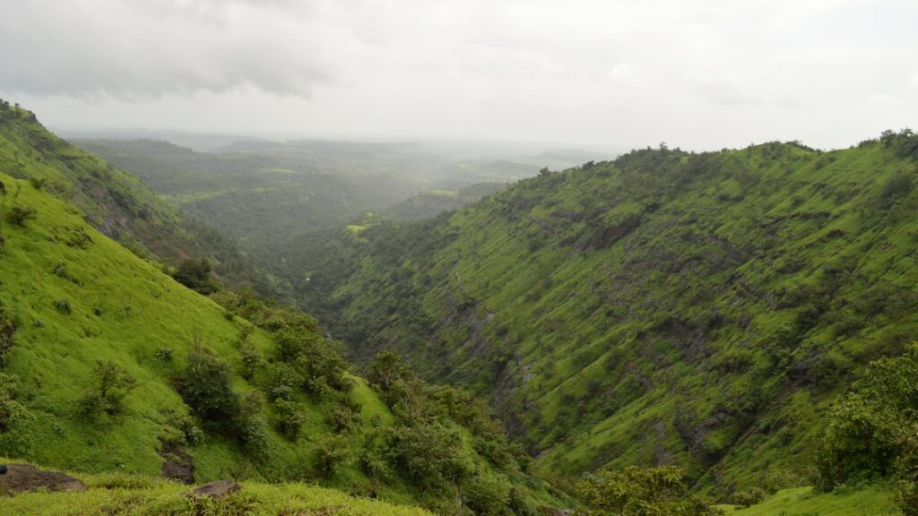 Trip igatpuri monsoon green mountains