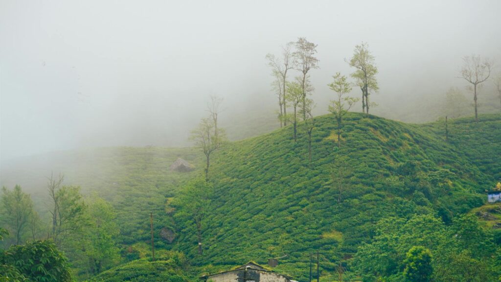 Scenic view of mist-covered mountains in Igatpuri Maharashtra