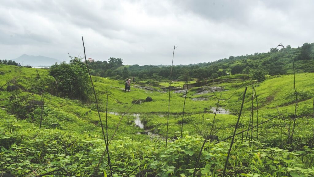 Lush green trekking path and waterfalls in Karjat