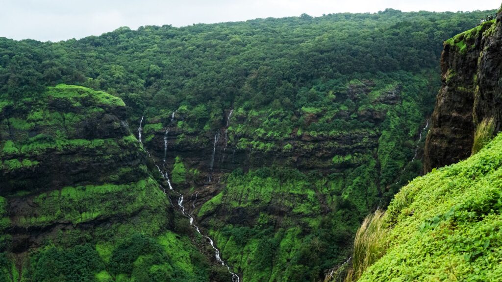Igatpuri vs malshej ghat explore verdant