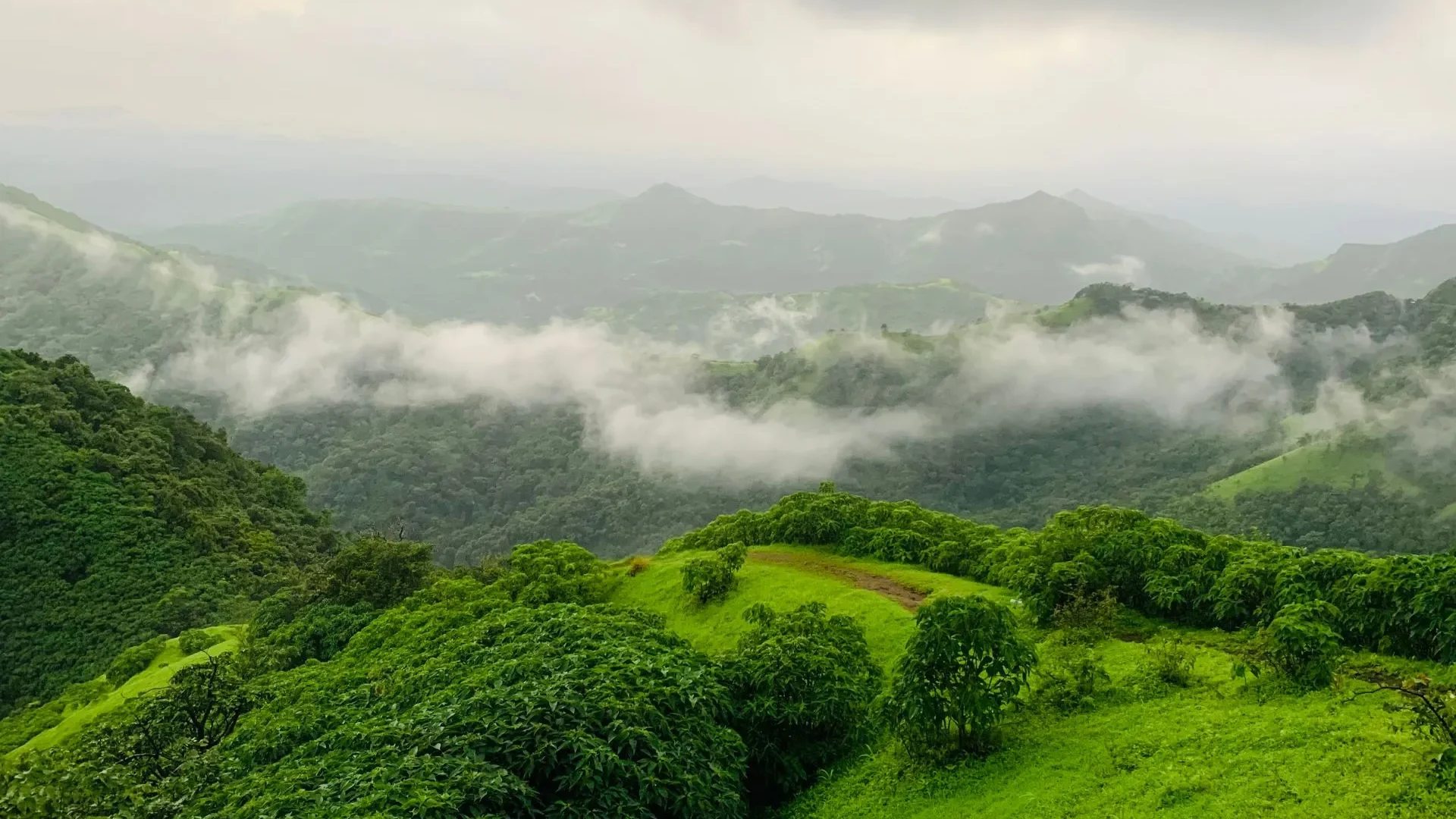 Weekend Tour to Igatpuri: The Ultimate 2-Day 2026 Itinerary