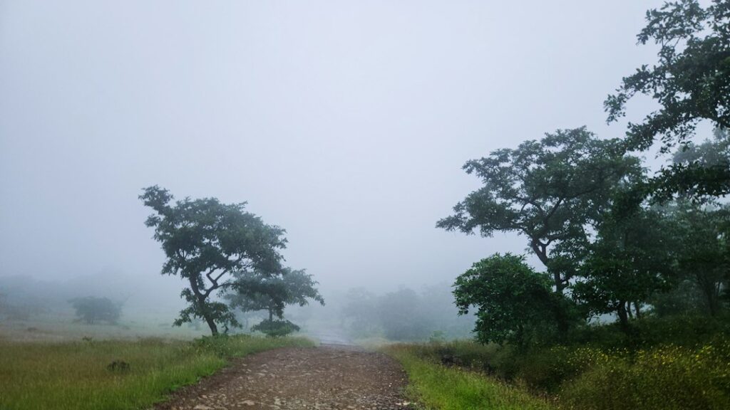 Trekking in Igatpuri on a crisp sunny winter morning near Kalsubai