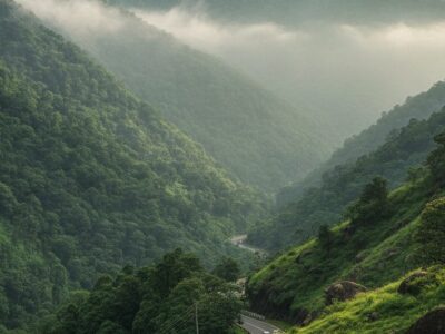 Western Ghats ESA Rules: Essential Facts for Travelers